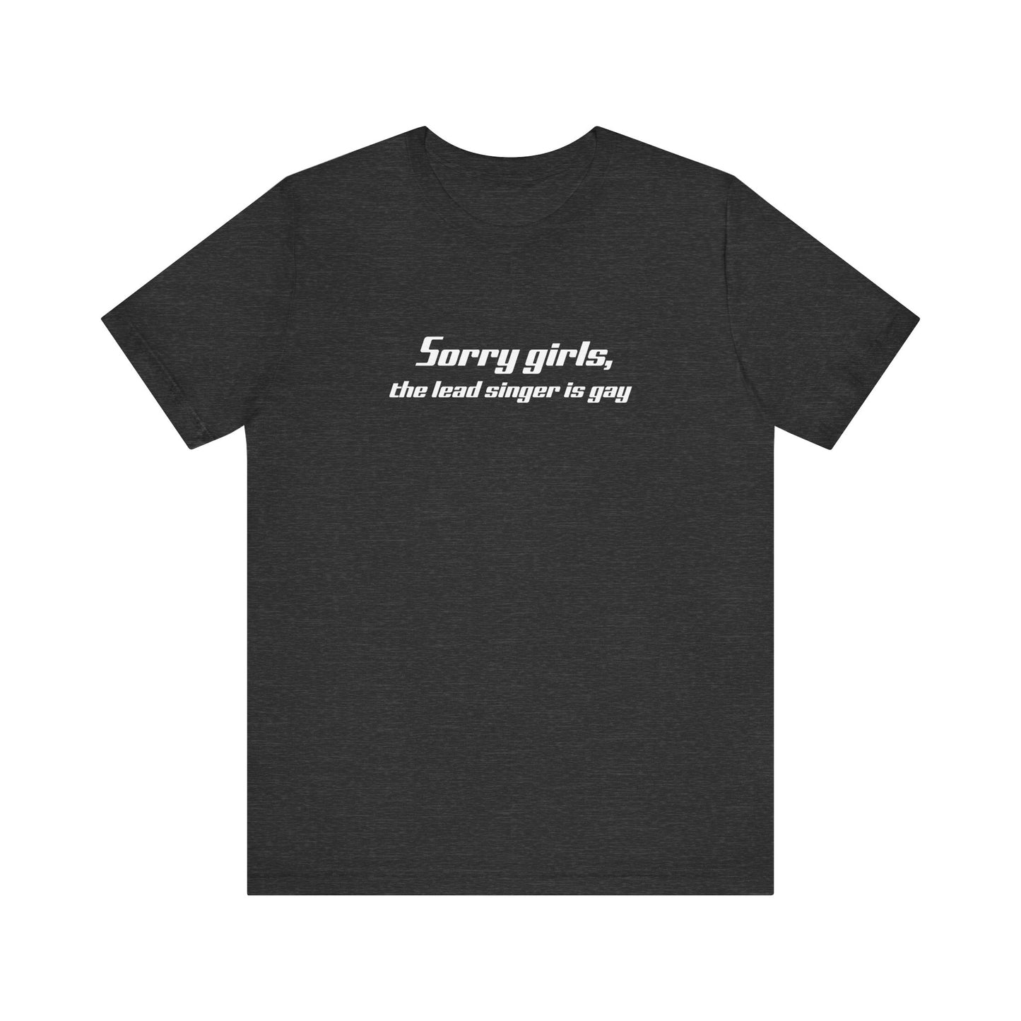 Sorry Girls - The Lead Singer Is Gay - Men's T-Shirt