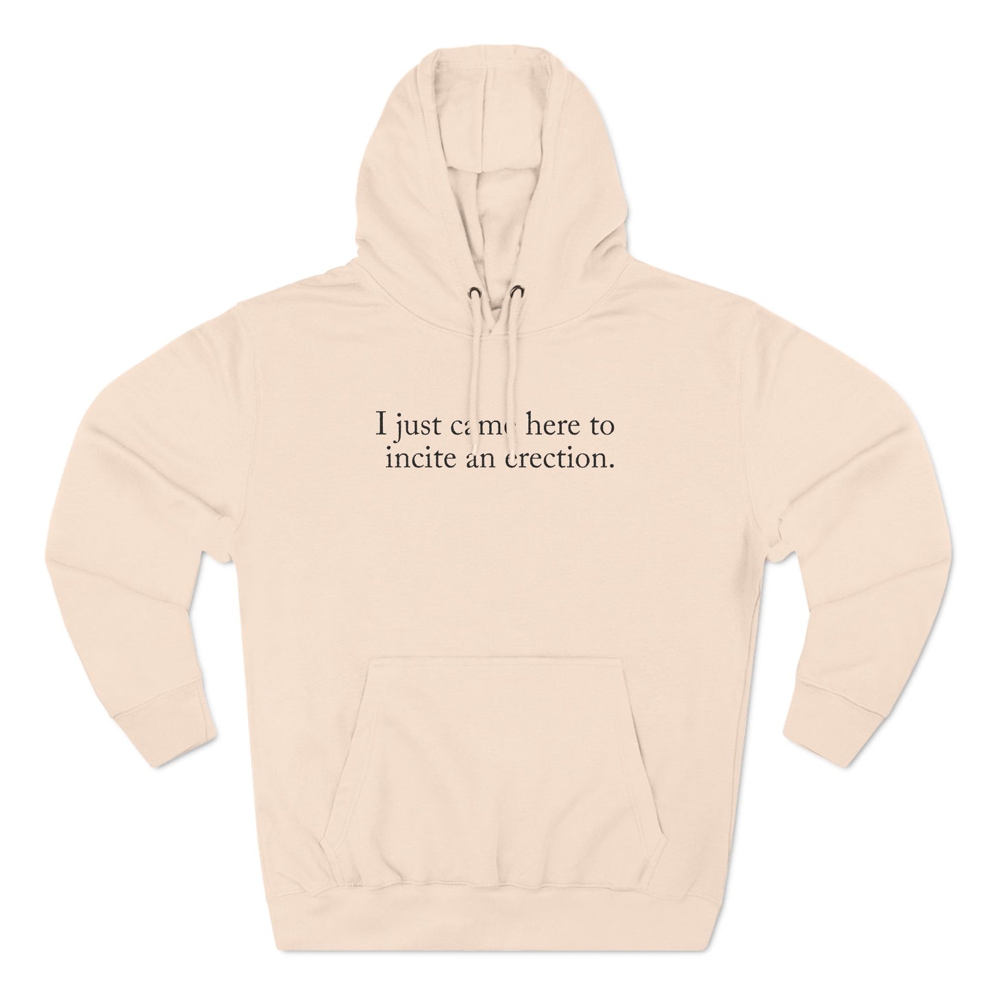 I Just Came Here To Incite An Erection - Hoodie