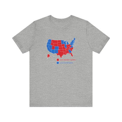 Elitist Election Riggers  (Blue States) - Racist Conspiracy Theorists (Red States) - Men's T-Shirt