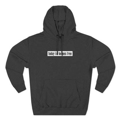 Today I'm Herpes Free - Hoodie