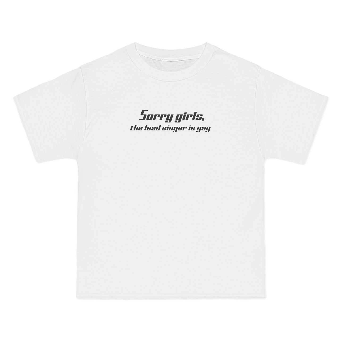 Sorry Girls - The Lead Singer Is Gay - Men's Heavyweight T-Shirt